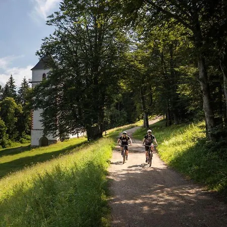 Candrova Koca Gostinjska kuća Hocko Pohorje